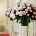 20090529_MG_2071.jpg